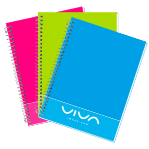 LIBRETA PROF DOBLE ARO RAYA VIVA IBOOK 100H