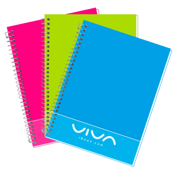 LIBRETA PROF DOBLE ARO RAYA VIVA IBOOK 100H